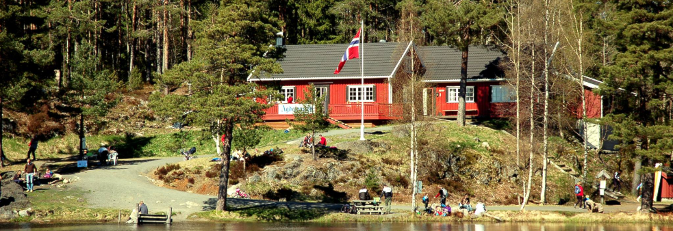 Førstemann til Granestua